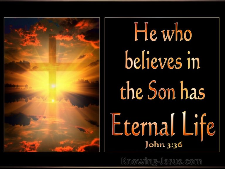 Eternal Life His Precious Gift